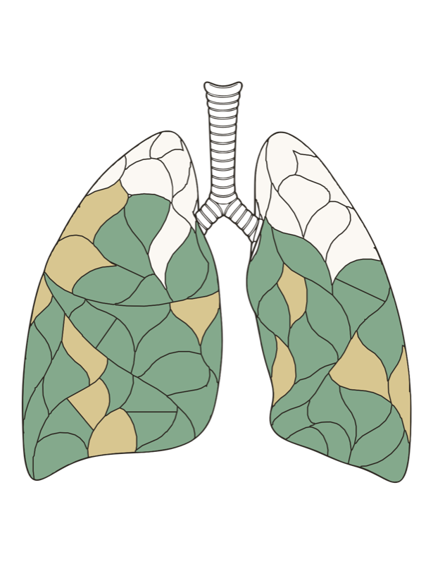 Smoke-free board colored day by day